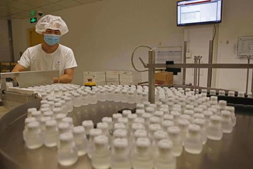 GE醫(yī)療堅(jiān)定扎根中國信心，以更大規(guī)模參展第五屆進(jìn)博會